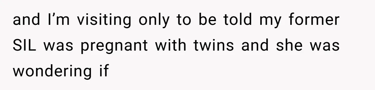 Man Refuses To Make Toys For Former Sister-In-Law After Her New Husband Calls His Gifts ‘Embarrassing’ and I’m visiting only to be told my former SIL was pregnant with twins and she was wondering if