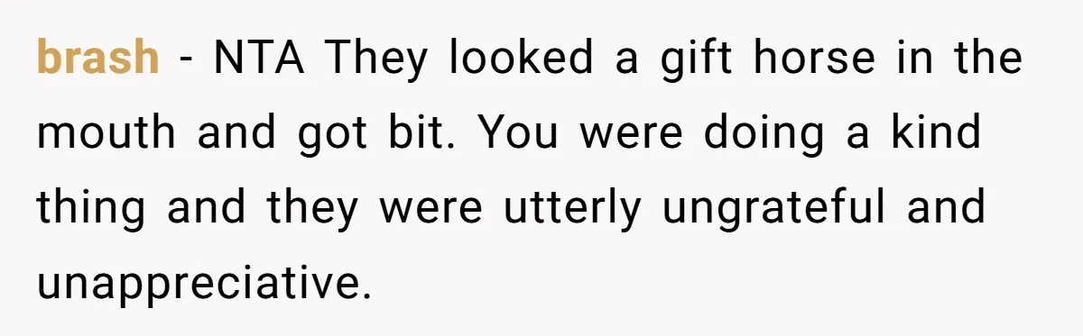Man Refuses To Make Toys For Former Sister-In-Law After Her New Husband Calls His Gifts ‘Embarrassing’ brash − NTA They looked a gift horse in the mouth and got bit. You were doing a kind thing and they were utterly ungrateful and unappreciative.