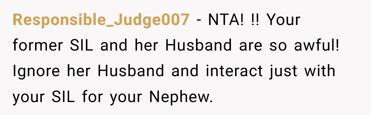Man Refuses To Make Toys For Former Sister-In-Law After Her New Husband Calls His Gifts ‘Embarrassing’ Responsible_Judge007 − NTA! !! Your former SIL and her Husband are so awful! Ignore her Husband and interact just with your SIL for your Nephew.