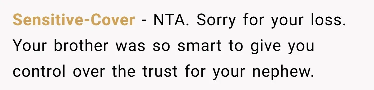 Man Refuses To Make Toys For Former Sister-In-Law After Her New Husband Calls His Gifts ‘Embarrassing’ Sensitive-Cover − NTA. Sorry for your loss. Your brother was so smart to give you control over the trust for your nephew.