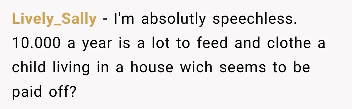 Man Refuses To Make Toys For Former Sister-In-Law After Her New Husband Calls His Gifts ‘Embarrassing’ Lively_Sally − I'm absolutly speechless. 10.000 a year is a lot to feed and clothe a child living in a house wich seems to be paid off?