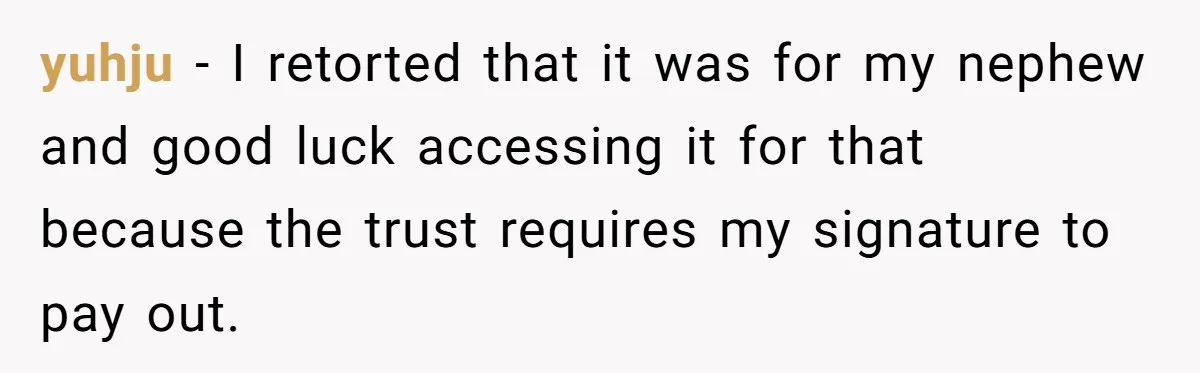 Man Refuses To Make Toys For Former Sister-In-Law After Her New Husband Calls His Gifts ‘Embarrassing’ yuhju − I retorted that it was for my nephew and good luck accessing it for that because the trust requires my signature to pay out.