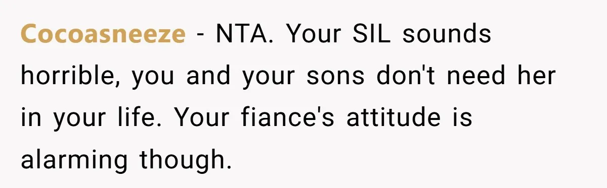 Cocoasneeze − NTA. Your SIL sounds horrible, you and your sons don't need her in your life. Your fiance's attitude is alarming though.