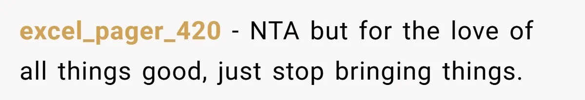 excel_pager_420 − NTA but for the love of all things good, just stop bringing things.
