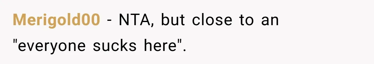 Woman Leaves Niece Behind In Jail After She Was Caught Shoplifting Merigold00 − NTA, but close to an "everyone sucks here".