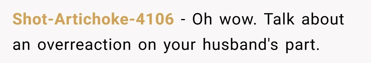 Shot-Artichoke-4106 − Oh wow. Talk about an overreaction on your husband's part.
