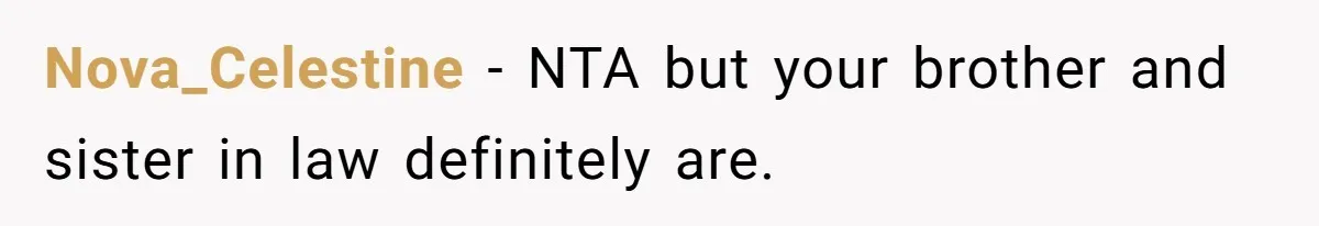 Parents Prevent Little Girl From Getting Near To A Relative Simply For Who He Is Nova_Celestine − NTA but your brother and sister in law definitely are.