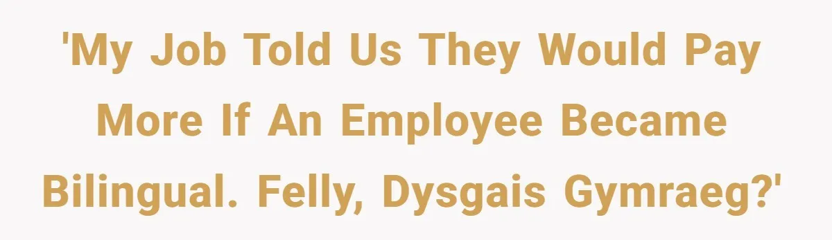 'My job told us they would pay more if an employee became bilingual. Felly, dysgais Gymraeg?'