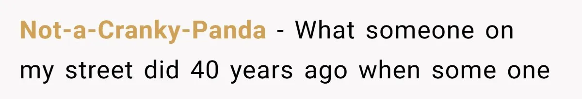 Tenant Calmly Asks Neighbor To Stop Taking Paid Parking Spot, But Things Turn Ugly Fast Not-a-Cranky-Panda − What someone on my street did 40 years ago when some one