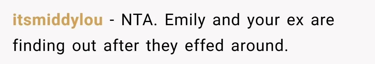 itsmiddylou − NTA. Emily and your ex are finding out after they effed around.
