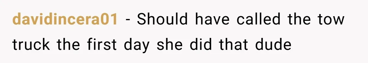 Tenant Calmly Asks Neighbor To Stop Taking Paid Parking Spot, But Things Turn Ugly Fast davidincera01 − Should have called the tow truck the first day she did that dude