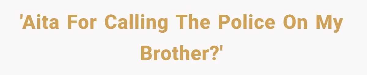 'AITA for calling the police on my brother?'