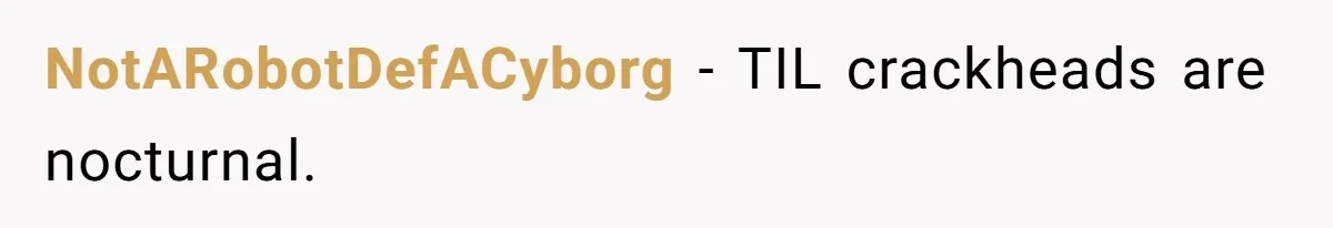 Woman Ruined Her Apartment Hunt By Sabotaging Coworker's Verification Process NotARobotDefACyborg − TIL crackheads are nocturnal.