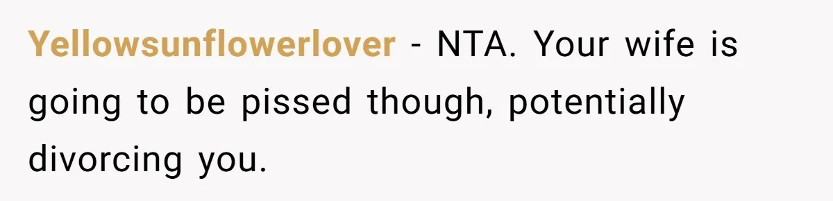Yellowsunflowerlover − NTA. Your wife is going to be pissed though, potentially divorcing you.
