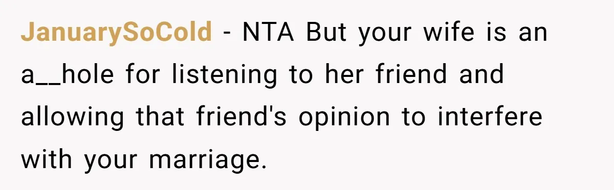 JanuarySoCold − NTA But your wife is an a__hole for listening to her friend and allowing that friend's opinion to interfere with your marriage.