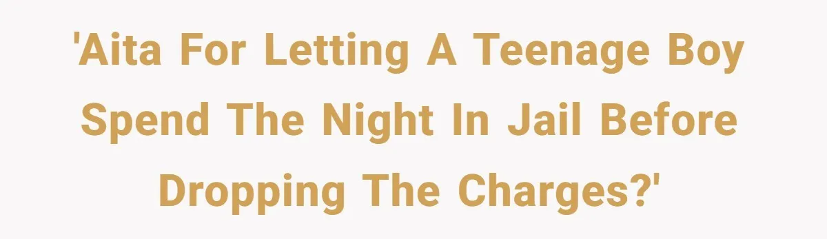 'AITA for letting a teenage boy spend the night in jail before dropping the charges?'