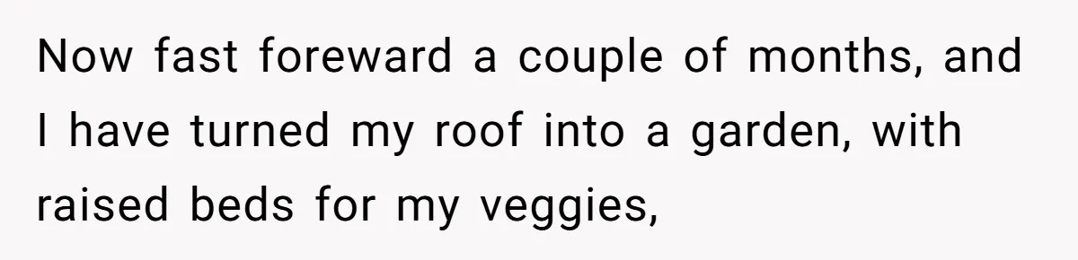 Now fast foreward a couple of months, and I have turned my roof into a garden, with raised beds for my veggies,