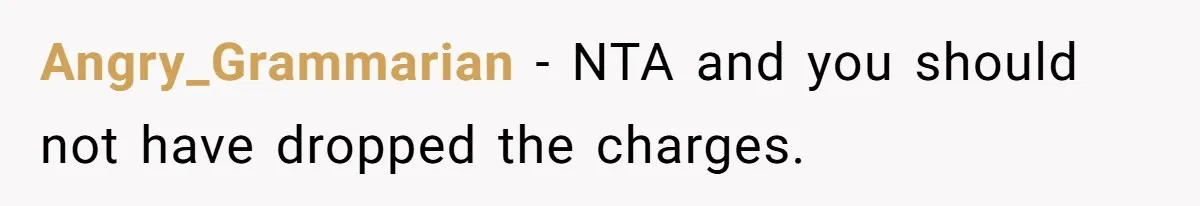 Angry_Grammarian − NTA and you should not have dropped the charges.