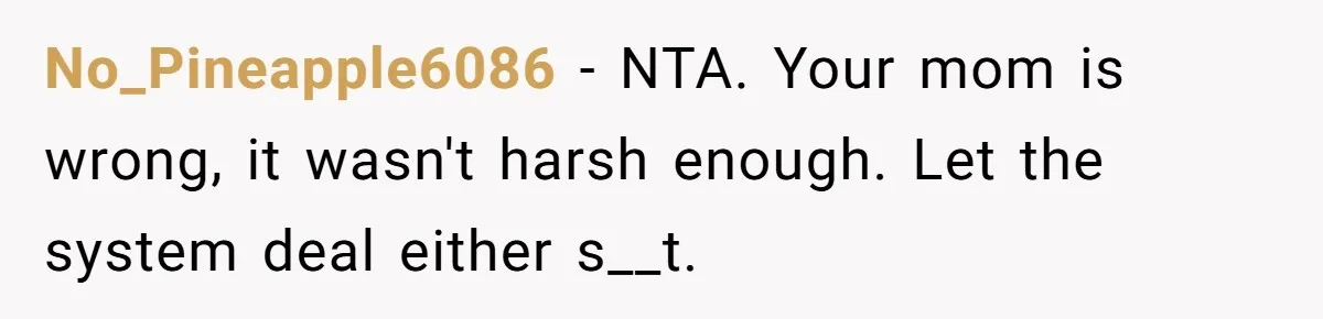 No_Pineapple6086 − NTA. Your mom is wrong, it wasn't harsh enough. Let the system deal either s__t.