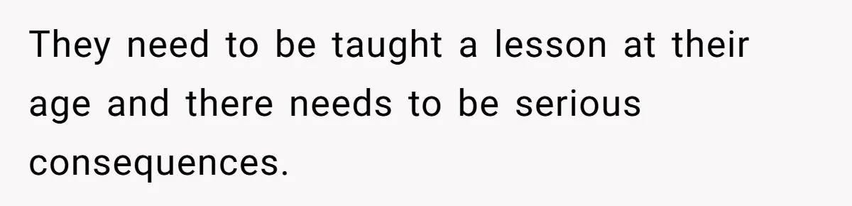 They need to be taught a lesson at their age and there needs to be serious consequences.