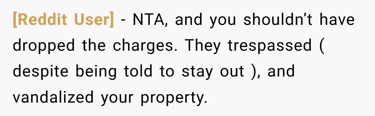 [Reddit User] − NTA, and you shouldn’t have dropped the charges. They trespassed ( despite being told to stay out ), and vandalized your property.