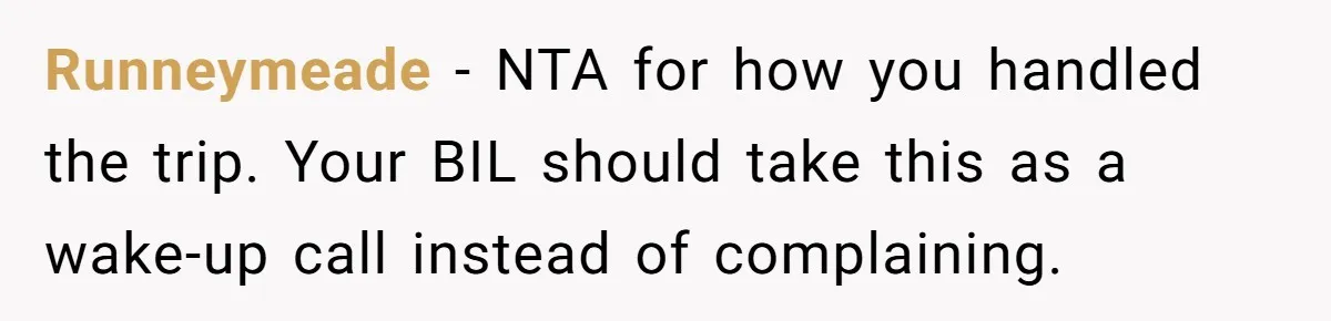 Runneymeade − NTA for how you handled the trip. Your BIL should take this as a wake-up call instead of complaining.