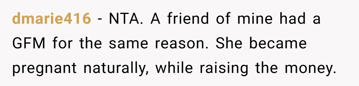 Generous Family Member Donates Big To Relatives Fertility Dream, Then Plans Shift Unexpectedly dmarie416 − NTA. A friend of mine had a GFM for the same reason. She became pregnant naturally, while raising the money.