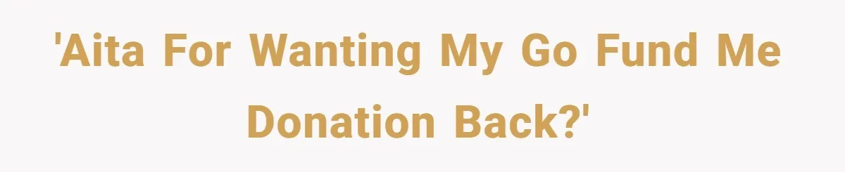 Generous Family Member Donates Big To Relatives Fertility Dream, Then Plans Shift Unexpectedly 'AITA for wanting my Go Fund Me donation back?'