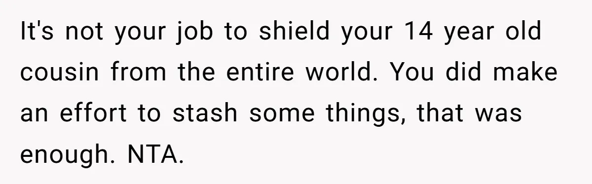 It's not your job to shield your 14 year old cousin from the entire world. You did make an effort to stash some things, that was enough. NTA.