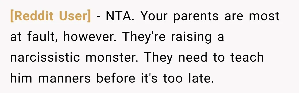 [Reddit User] − NTA. Your parents are most at fault, however. They're raising a narcissistic monster. They need to teach him manners before it's too late.