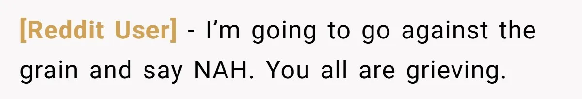 [Reddit User] − I’m going to go against the grain and say NAH. You all are grieving.