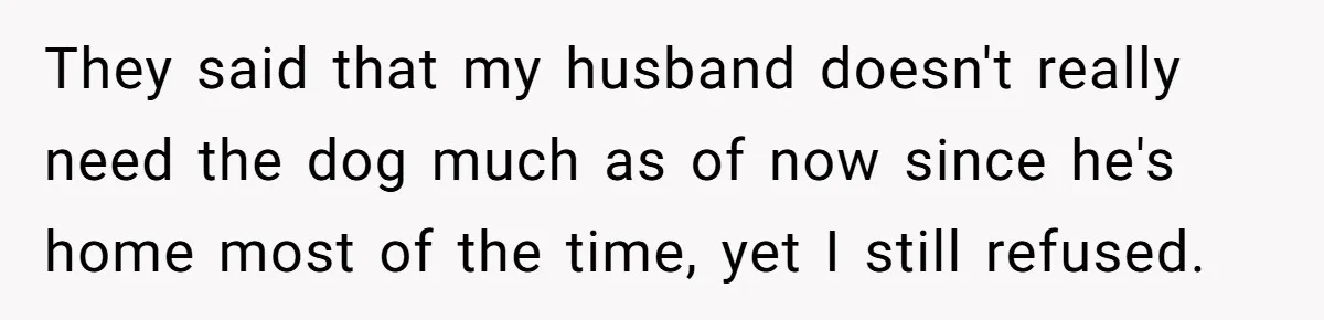 They said that my husband doesn't really need the dog much as of now since he's home most of the time, yet I still refused.