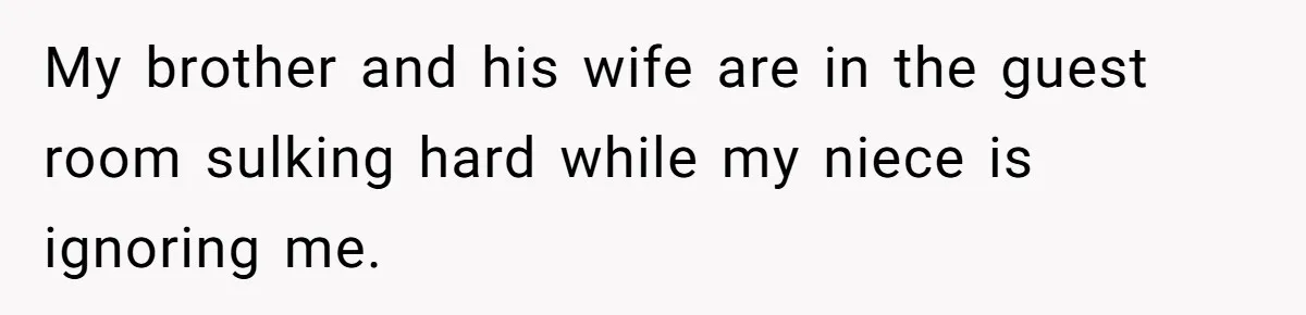 My brother and his wife are in the guest room sulking hard while my niece is ignoring me.