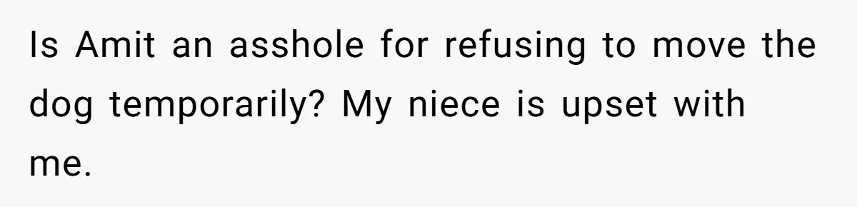 Is Amit an asshole for refusing to move the dog temporarily? My niece is upset with me.