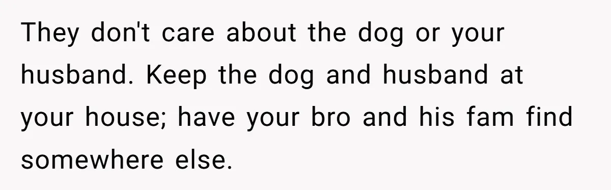 They don't care about the dog or your husband. Keep the dog and husband at your house; have your bro and his fam find somewhere else.