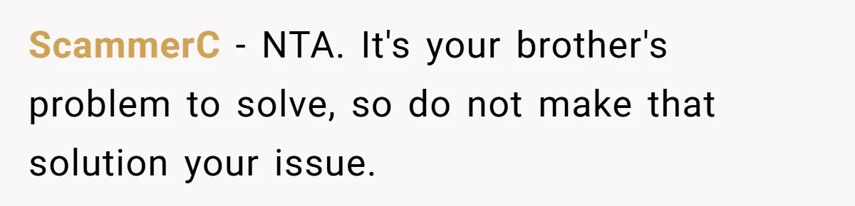 ScammerC − NTA. It's your brother's problem to solve, so do not make that solution your issue.