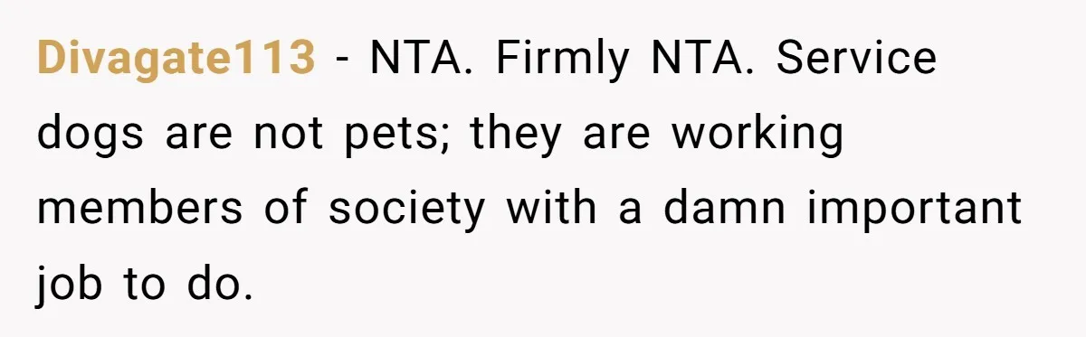 Divagate113 − NTA. Firmly NTA. Service dogs are not pets; they are working members of society with a damn important job to do.