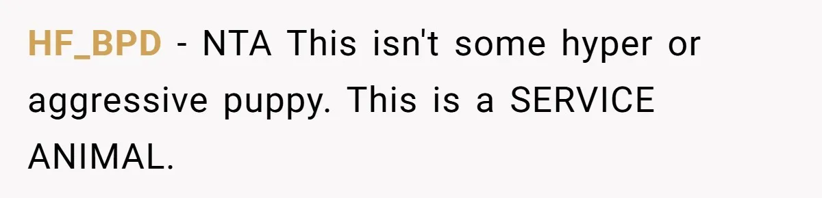 HF_BPD − NTA This isn't some hyper or aggressive puppy. This is a SERVICE ANIMAL.