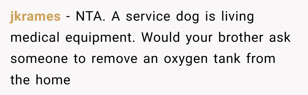 jkrames − NTA. A service dog is living medical equipment. Would your brother ask someone to remove an oxygen tank from the home