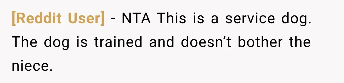 [Reddit User] − NTA This is a service dog. The dog is trained and doesn’t bother the niece.