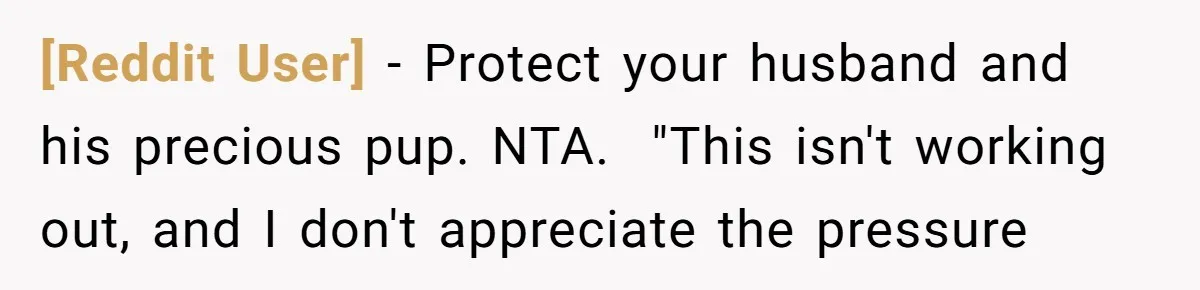 [Reddit User] − Protect your husband and his precious pup. NTA.  "This isn't working out, and I don't appreciate the pressure