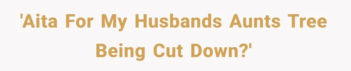 Woman Approves Fence Work Anyway, Can’t Believe Aunt Evicts Them Over Tree 'AITA for my husbands aunts tree being cut down?'