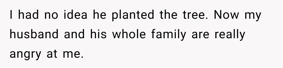 Woman Approves Fence Work Anyway, Can’t Believe Aunt Evicts Them Over Tree I had no idea he planted the tree. Now my husband and his whole family are really angry at me.