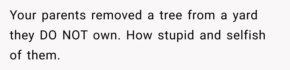 Woman Approves Fence Work Anyway, Can’t Believe Aunt Evicts Them Over Tree Your parents removed a tree from a yard they DO NOT own. How stupid and selfish of them.