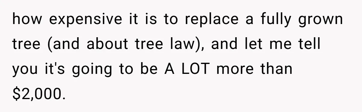 Woman Approves Fence Work Anyway, Can’t Believe Aunt Evicts Them Over Tree how expensive it is to replace a fully grown tree (and about tree law), and let me tell you it's going to be A LOT more than $2,000.