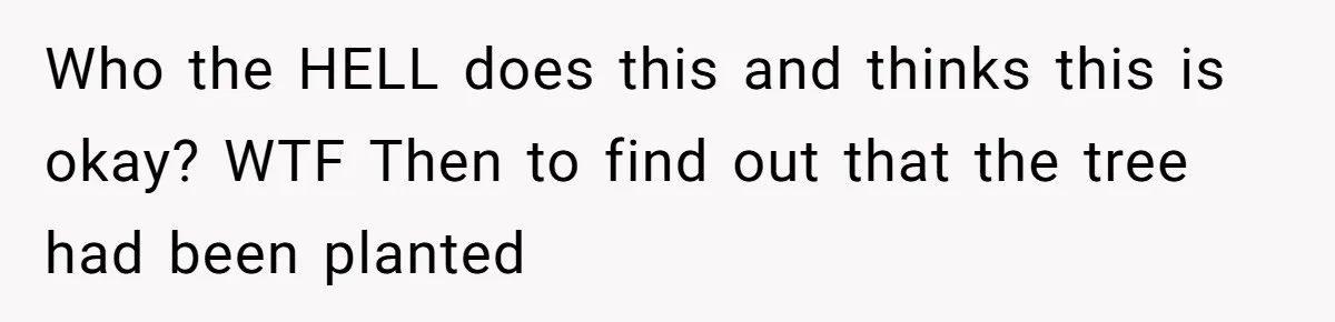 Woman Approves Fence Work Anyway, Can’t Believe Aunt Evicts Them Over Tree Who the HELL does this and thinks this is okay? WTF Then to find out that the tree had been planted