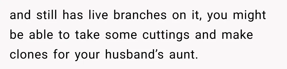 Woman Approves Fence Work Anyway, Can’t Believe Aunt Evicts Them Over Tree and still has live branches on it, you might be able to take some cuttings and make clones for your husband’s aunt.