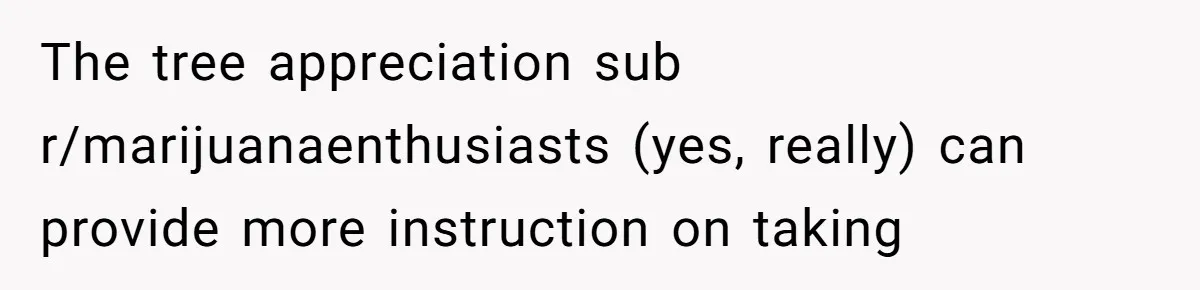 Woman Approves Fence Work Anyway, Can’t Believe Aunt Evicts Them Over Tree The tree appreciation sub r/marijuanaenthusiasts (yes, really) can provide more instruction on taking