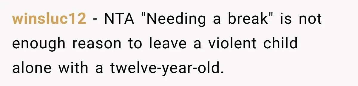 winsluc12 − NTA "Needing a break" is not enough reason to leave a violent child alone with a twelve-year-old.