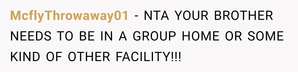 McflyThrowaway01 − NTA YOUR BROTHER NEEDS TO BE IN A GROUP HOME OR SOME KIND OF OTHER FACILITY!!!
